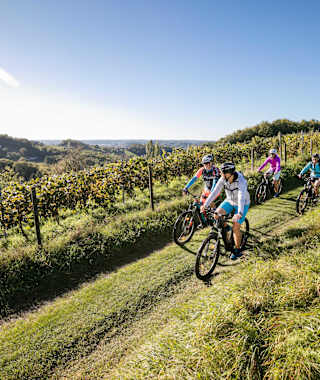 Unterwegs am R12: Weinberge in der Steiermark