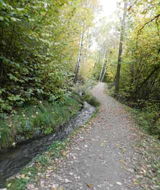 Der Rablander Waalweg im Herbst