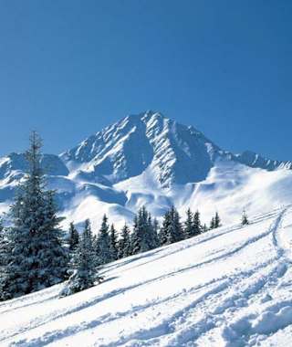 Gipfelpanorama Stubaier Alpen
