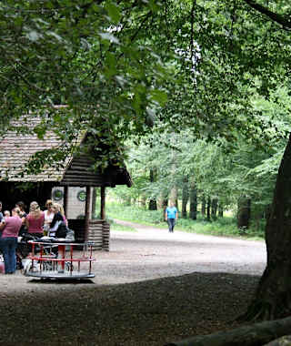 Picknick- und Spielplatz im Wald