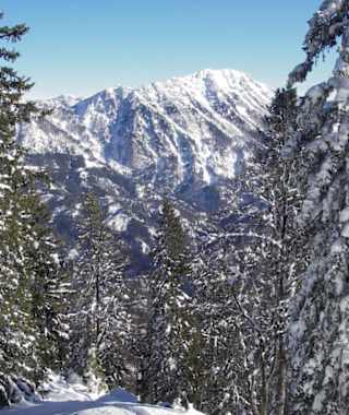 Beim Aufstieg: Blick zum Dürrenstein
