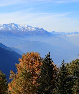 Rosswald - Fullohorn