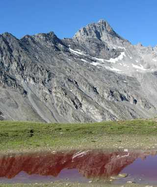Rotes Seeli mit Stammerspitz