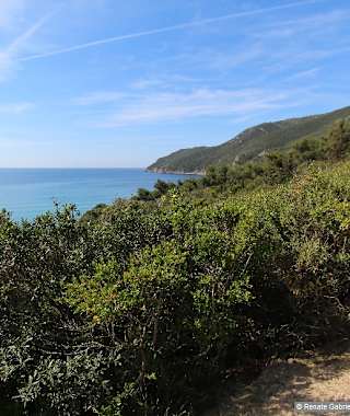Am Weg 250 flach an vielen privaten Hauszufahrten weiter Via Laconella und Capo Fonza