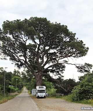 Rastplatz: Über das Bachbett (Weg 225) und leicht links, Parkplatz am Ausgangspunkt