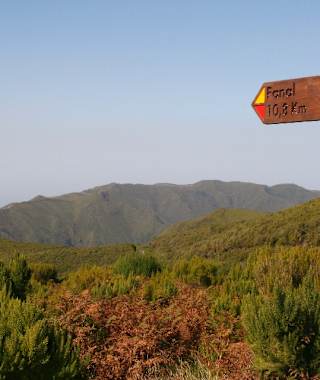 Etwa 75 m nach dem Forsthaus weist ein Schild (PR 13 Paul da Serra) in einen mit Rundhölzern gestuften Weg, der durch einen von Farnen begrünten Hang hinaufführt.