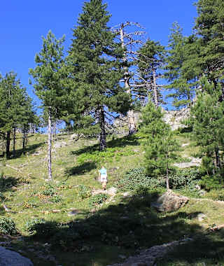 Kurz vor dem Abzweig zur Bergerie de Timozzu.