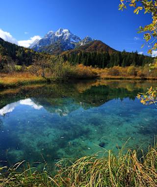 Naturreservat Zelenci