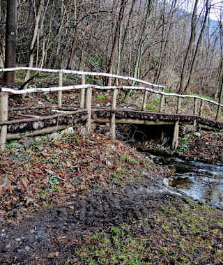 Brücke in der Rienzschlucht