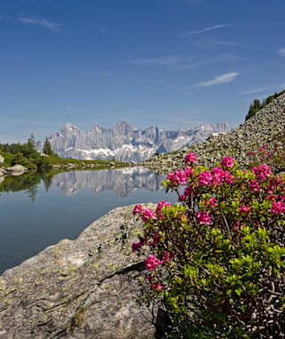 Der Spiegelsee mit Spiegelung des Dachstein Dreigesteins 