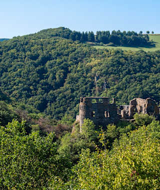 Die mittelalterliche Schmidtburg