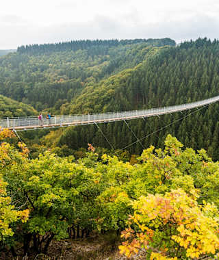 Die Hängeseilbrücke Geierlay