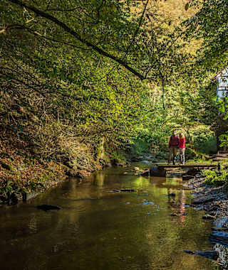 Idyllischer Bachlauf