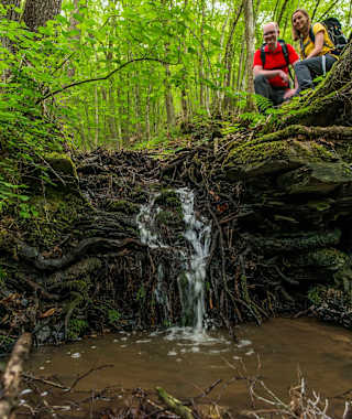Waldabschnitt auf der 22. Etappe