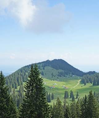 Blick von Hochries auf das Riesenalmplateau