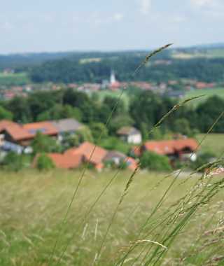 Blick auf Frasdorf