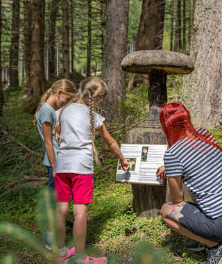 Kinder am Pilzlehrpfad Weißpriach