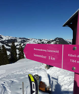 Winter-Beschilderung Saanenwald
