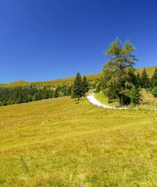Saualpe- Blick zur Wofsberger Hütte
