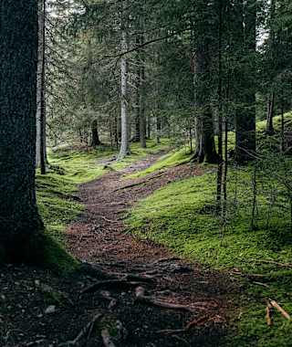 Innerferrera - Campsut - Avers