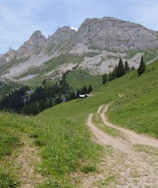 Unterwegs auf dem aussichtsreichen Natursträsschen 