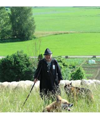 Albschäferweg - Etappe 1: Von Giengen bis Stetten ob Lontal