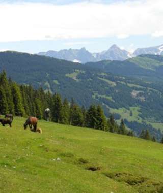 Schattberg Höhenweg