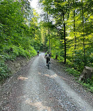 Auffahrt auf dem Schlittelweg