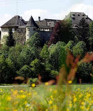 Schloss Hallegg