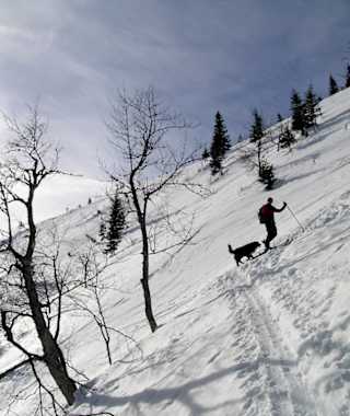 Aufstieg zum Ostrücken des Schnalzsteins