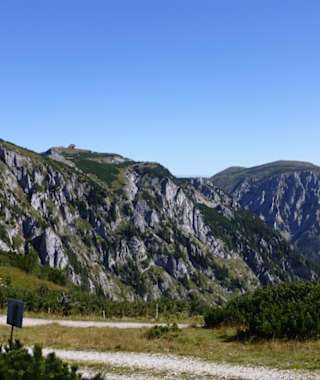 Ein breiter Forstweg führt auf die Schneealm