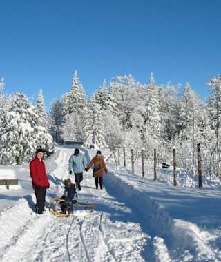 Auch die Rodel kann man auf der Schneebergblickrunde mitnehmen.