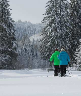 Schneeschuhwanderer im Buhlbachtal