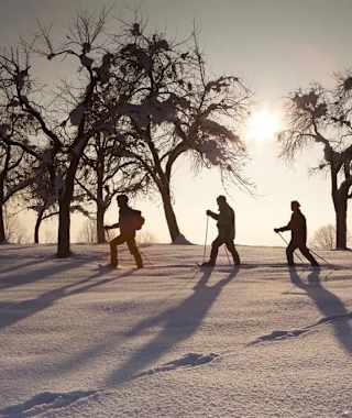 Mit Schneeschuhen durch die Winterlandschaft