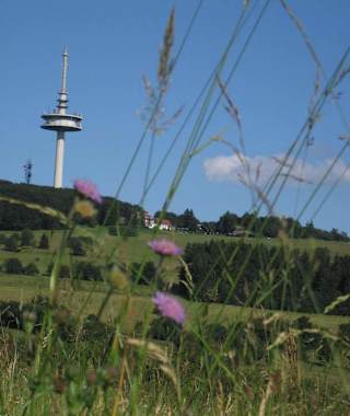 Man wandert durch schöne Wiesen
