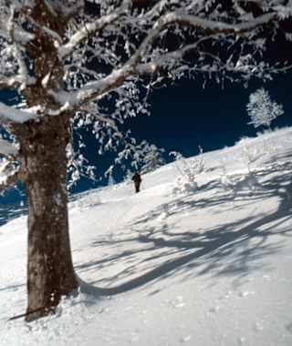 Schwarzenberg: Auf der Gipfelwiese