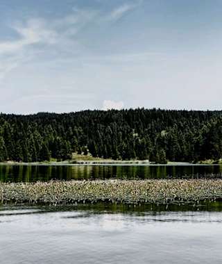Via Vigilius - 3. Etappe: Von Unsere Liebe Frau im Walde nach Fondo