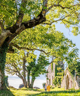Hegauer Kegelspiel: Hohentwieler