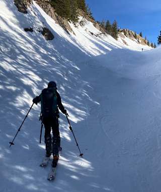 Nagelfluh kurz vor dem Gipfel des Siplinger Kopfs