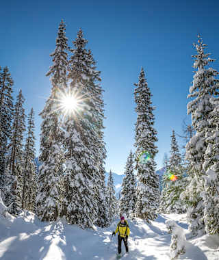 Durch den Wald aufwärts zur Viehbergalm