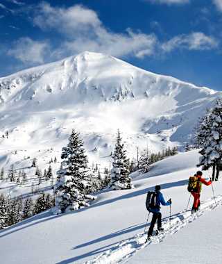 Skitour auf das Gumeneck