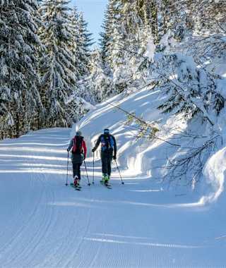 Über sanfte Forststraßen geht es von der Talstation des Sessellifts Resterhöhe hinauf zur Sonnalm.