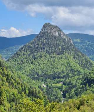 Vorbei am Falkenstein