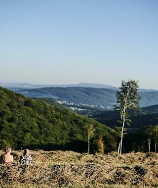 Schöne Aussicht von der Sophienalpe