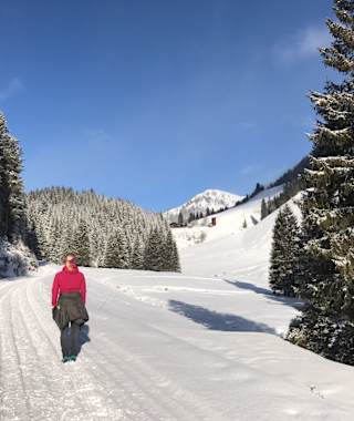 Rodeln am Spielberghaus