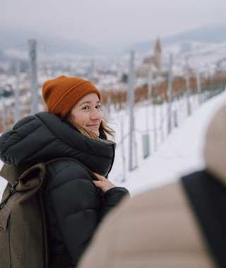 Winterliche Weinberge
