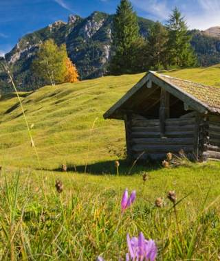 Stadel auf den Buckelwiesen