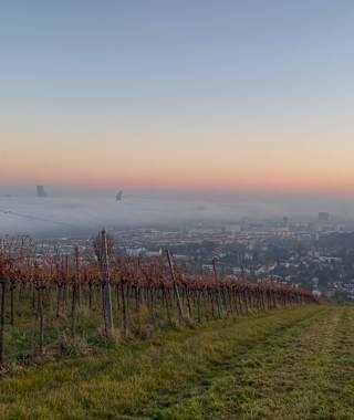 Wiener Stadtwanderweg 1