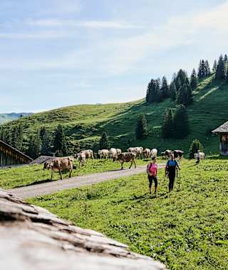 Auf dem Weg zur Alpe Steris