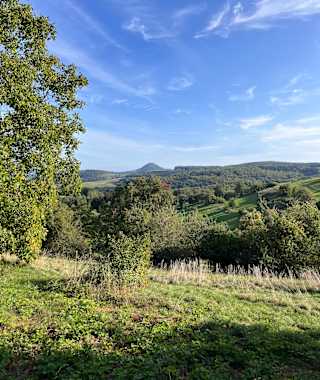 Hegauer Kegelspiel: Stettener Panoramaweg
